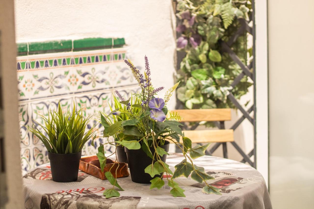 Malaguena Salerosa "Apartamento - Estudio Con Terraza" En Casa Tipica De 1 A 4 Dormitorios Μάλαγα Εξωτερικό φωτογραφία